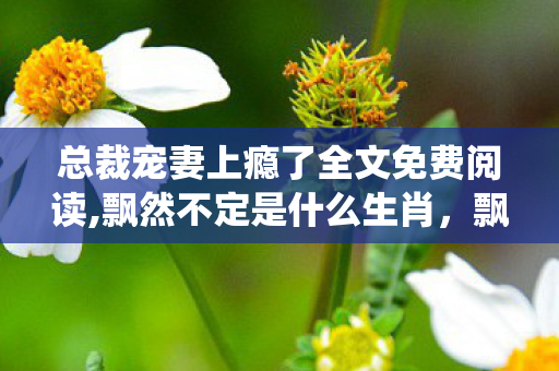 总裁宠妻上瘾了全文免费阅读,飘然不定是什么生肖，飘飘欲仙，总裁的恩宠