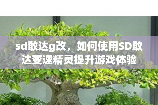sd敢达g改，如何使用SD敢达变速精灵提升游戏体验