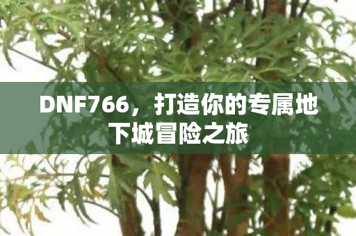 DNF766,打造你的专属地下城冒险之旅 DNF766,打造你的专属地下城冒险之旅