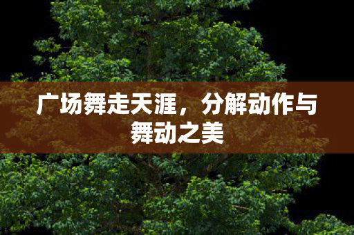 广场舞走天涯，分解动作与舞动之美