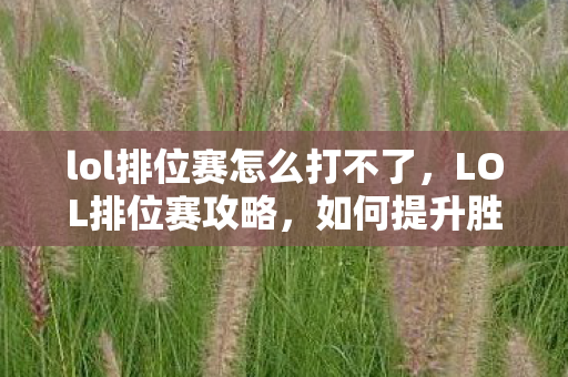 lol排位赛怎么打不了,LOL排位赛攻略,如何提升胜率与段位 lol排位赛怎么打不了,LOL排位赛攻略,如何提升胜率与段位