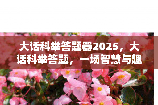 大话科举答题器2025，大话科举答题，一场智慧与趣味的盛宴