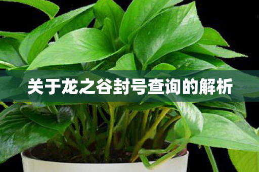 关于龙之谷封号查询的解析