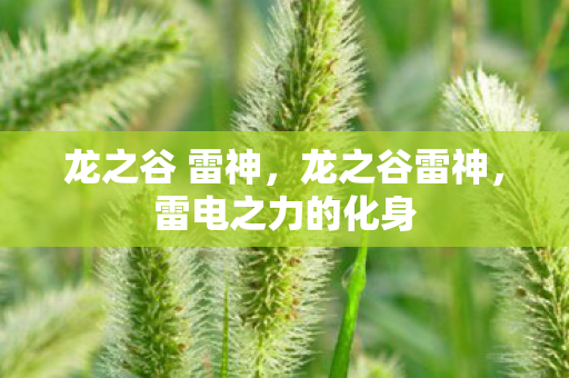 龙之谷 雷神，龙之谷雷神，雷电之力的化身