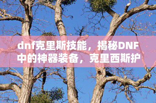 dnf克里斯技能，揭秘DNF中的神器装备，克里西斯护腕