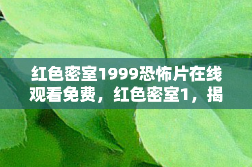 红色密室1999恐怖片在线观看免费，红色密室1，揭开历史与现实的神秘面纱