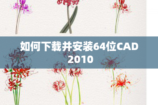 如何下载并安装64位CAD 2010