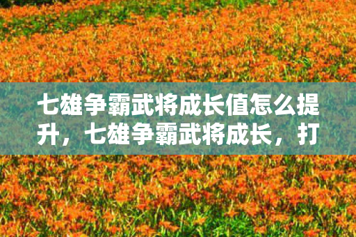 七雄争霸武将成长值怎么提升，七雄争霸武将成长，打造无敌战将的秘诀