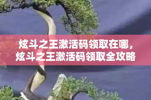 炫斗之王激活码领取在哪，炫斗之王激活码领取全攻略