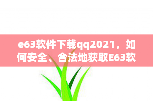 e63软件下载qq2021，如何安全、合法地获取E63软件下载资源