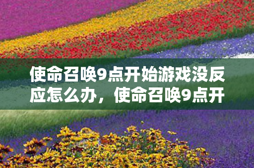 使命召唤9点开始游戏没反应怎么办，使命召唤9点开始游戏没反应，可能是这些原因