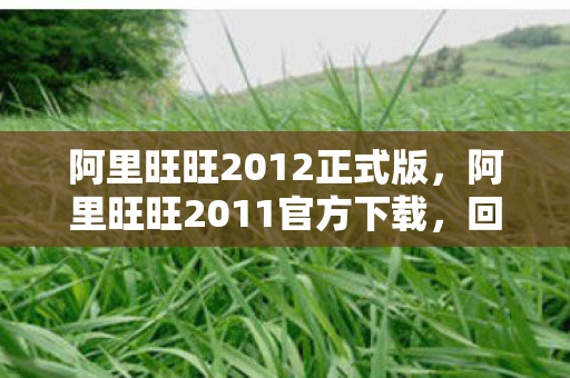 阿里旺旺2012正式版，阿里旺旺2011官方下载，回顾与体验