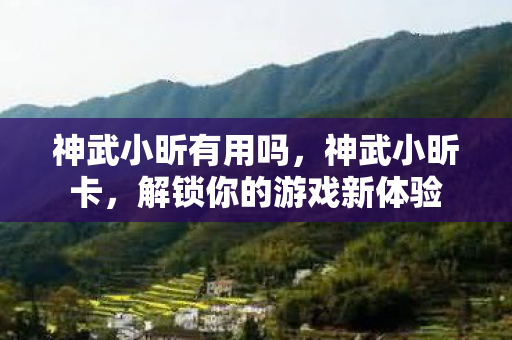 神武小昕有用吗，神武小昕卡，解锁你的游戏新体验