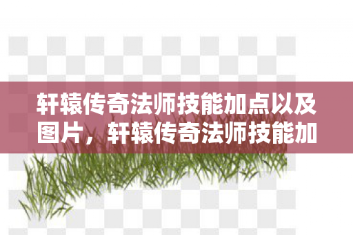 轩辕传奇法师技能加点以及图片，轩辕传奇法师技能加点攻略，打造最强法师的秘诀