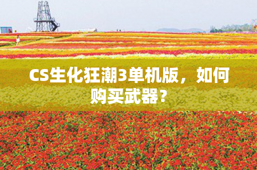 CS生化狂潮3单机版，如何购买武器？