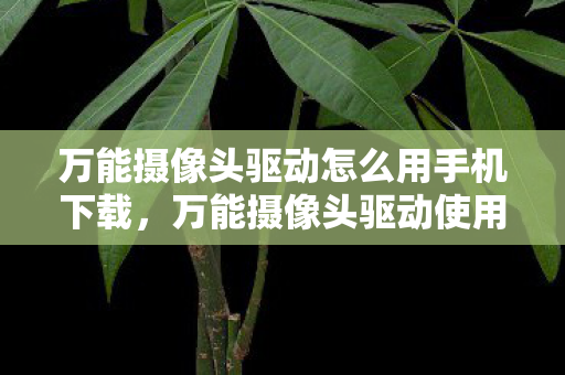 万能摄像头驱动怎么用手机下载，万能摄像头驱动使用指南，轻松解决设备连接问题