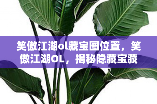 笑傲江湖ol藏宝图位置，笑傲江湖OL，揭秘隐藏宝藏的坐标之谜
