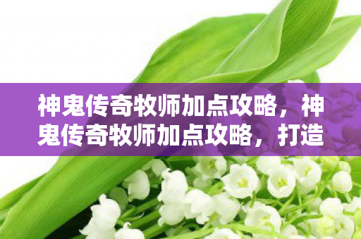 神鬼传奇牧师加点攻略，神鬼传奇牧师加点攻略，打造最强辅助与输出
