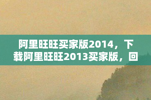 阿里旺旺买家版2014，下载阿里旺旺2013买家版，回顾经典，体验便捷购物沟通工具
