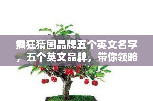 疯狂猜图品牌五个英文名字，五个英文品牌，带你领略疯狂猜图的魅力
