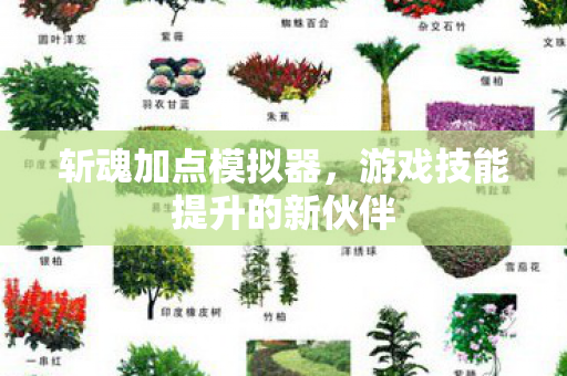 斩魂加点模拟器，游戏技能提升的新伙伴