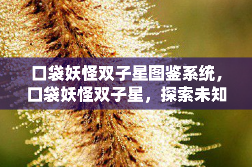 口袋妖怪双子星图鉴系统，口袋妖怪双子星，探索未知世界的奇妙旅程