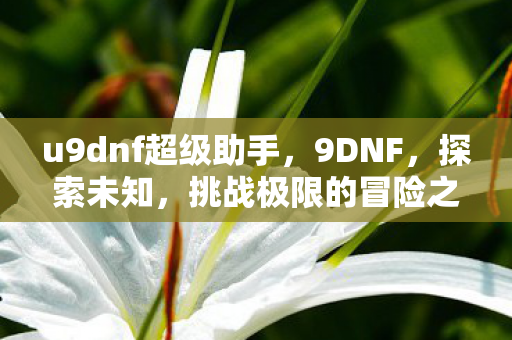 u9dnf超级助手,9DNF,探索未知,挑战极限的冒险之旅 u9dnf超级助手,9DNF,探索未知,挑战极限的冒险之旅