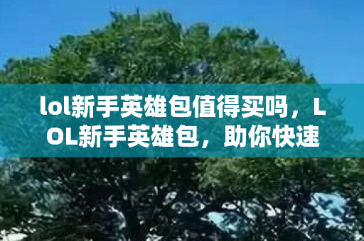 lol新手英雄包值得买吗，LOL新手英雄包，助你快速上手英雄联盟
