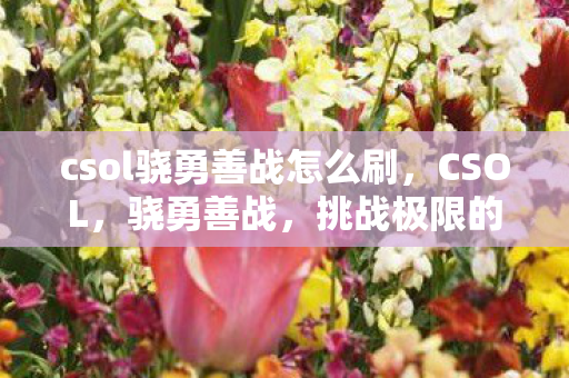 csol骁勇善战怎么刷，CSOL，骁勇善战，挑战极限的射击之旅