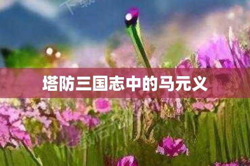 塔防三国志中的马元义