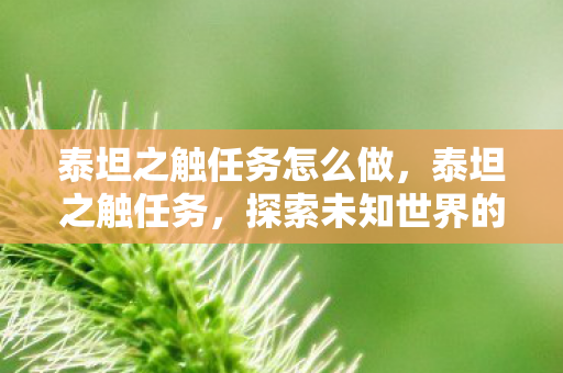 泰坦之触任务怎么做，泰坦之触任务，探索未知世界的神秘挑战