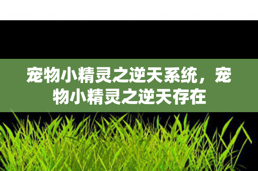 宠物小精灵之逆天系统，宠物小精灵之逆天存在