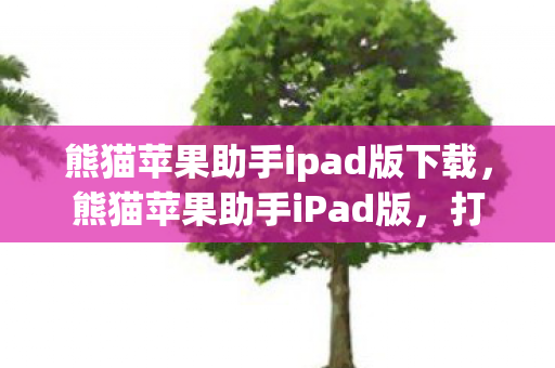 熊猫苹果助手ipad版下载，熊猫苹果助手iPad版，打造你的专属移动应用管理工具