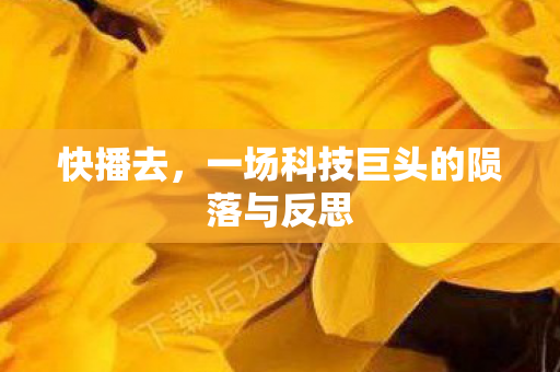 快播去，一场科技巨头的陨落与反思