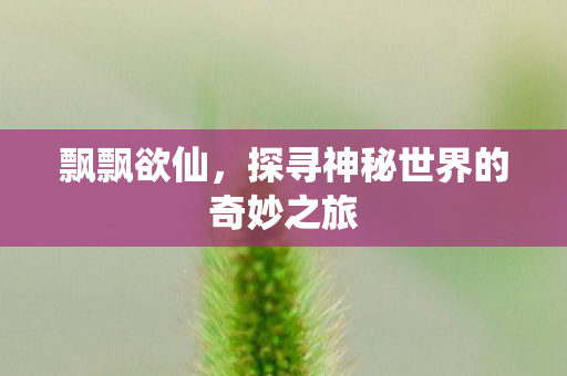 飘飘欲仙，探寻神秘世界的奇妙之旅