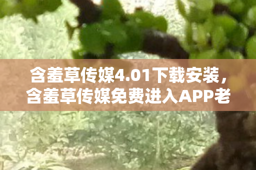 含羞草传媒4.01下载安装，含羞草传媒免费进入APP老版本，探索旧时光的私密花园