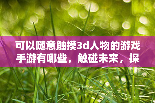 可以随意触摸3d人物的游戏手游有哪些，触碰未来，探索3D人物互动游戏的新纪元