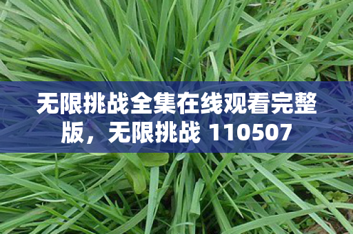 无限挑战全集在线观看完整版,无限挑战 110507 无限挑战全集在线观看完整版,无限挑战 110507