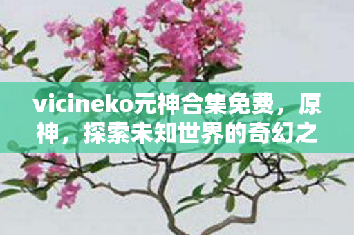 vicineko元神合集免费，原神，探索未知世界的奇幻之旅
