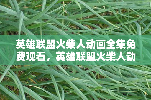 英雄联盟火柴人动画全集免费观看，英雄联盟火柴人动画全集，一场视觉与智慧的盛宴