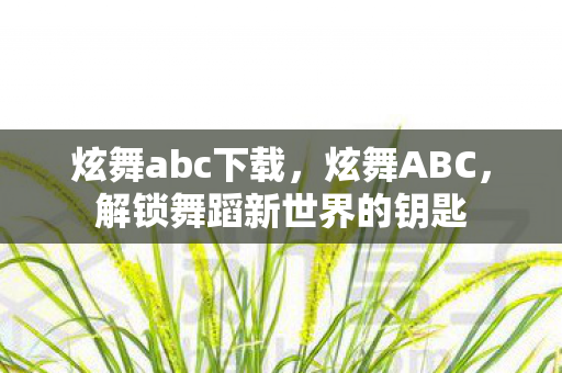 炫舞abc下载，炫舞ABC，解锁舞蹈新世界的钥匙