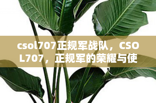 csol707正规军战队，CSOL707，正规军的荣耀与使命