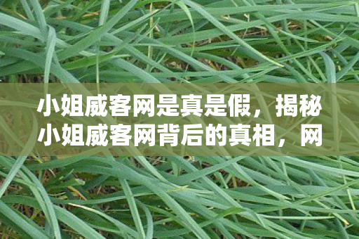 小姐威客网是真是假，揭秘小姐威客网背后的真相，网络阴影下的灰色产业