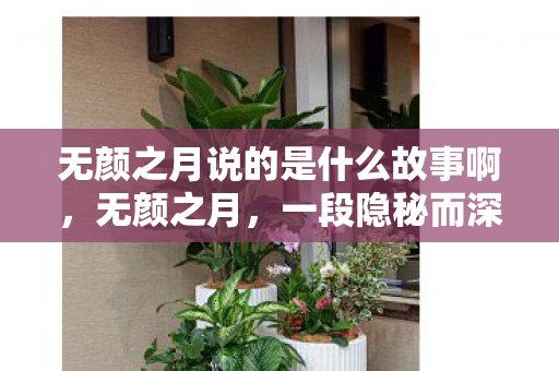 无颜之月说的是什么故事啊，无颜之月，一段隐秘而深刻的情感探索