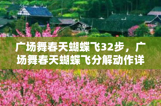 广场舞春天蝴蝶飞32步，广场舞春天蝴蝶飞分解动作详解