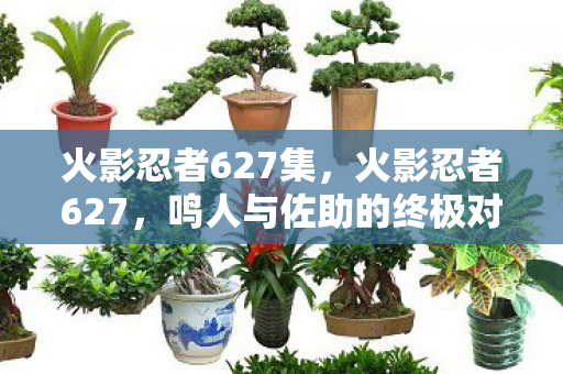 火影忍者627集，火影忍者627，鸣人与佐助的终极对决