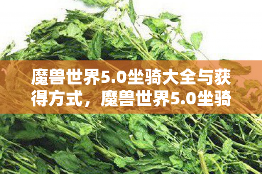 魔兽世界5.0坐骑大全与获得方式，魔兽世界5.0坐骑，回忆与探索的坐骑之旅