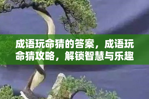 成语玩命猜的答案，成语玩命猜攻略，解锁智慧与乐趣的钥匙