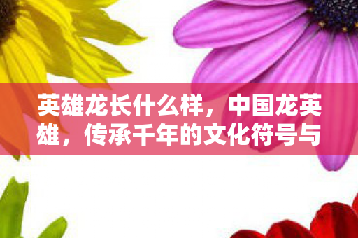 英雄龙长什么样，中国龙英雄，传承千年的文化符号与民族精神的象征