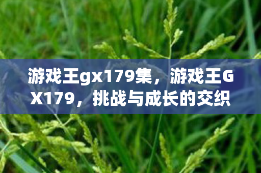 游戏王gx179集，游戏王GX179，挑战与成长的交织